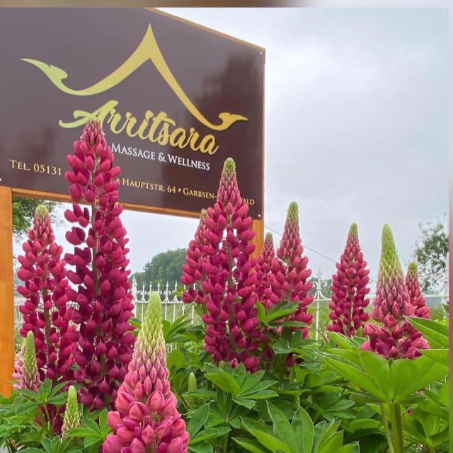 Arritsara Thai Massage & Wellness · Fotos 4